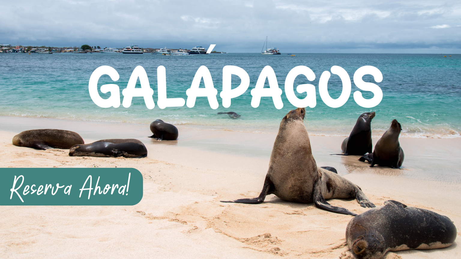 Tours Galapagos – Ecuador Treasure