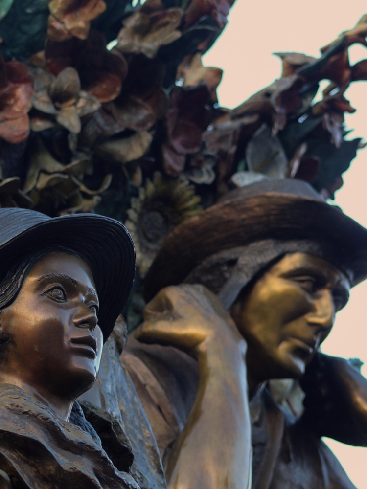 Medellin (1)